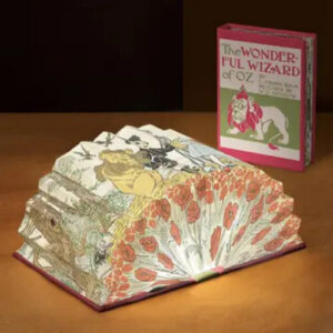 Wonderful World of Wizard of Oz Light Book 