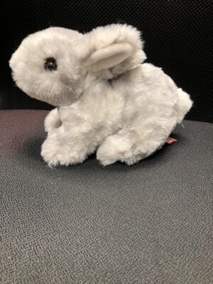 Tyrler Bunny 