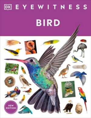 Eyewitness Bird 
