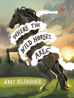 Where The Wild Horses Are 