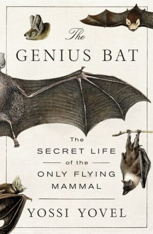 The Genius Bat 