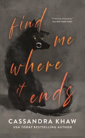 Find Me Where It Ends 