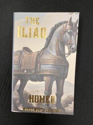 The Iliad 