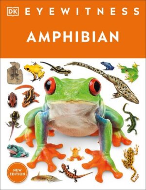 Amphibian 