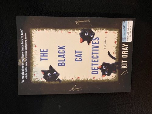 The Black Cat Detectives 