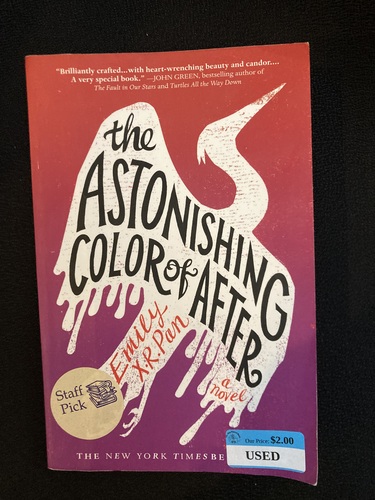 The Astonishing Color of After 