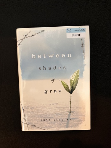 Between Shades of Gray 