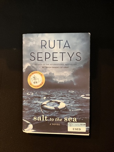 Salt to the Sea 