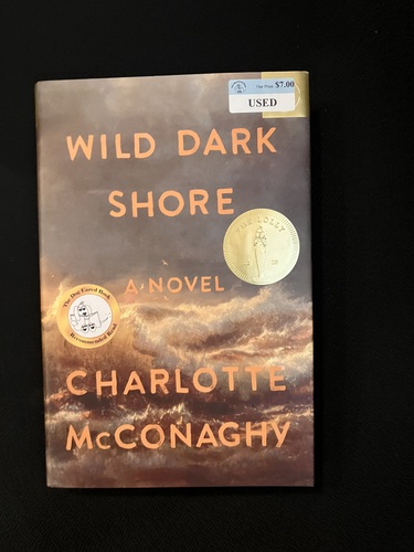 Wild Dark Shore 
