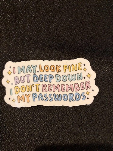 I May Look Fine 