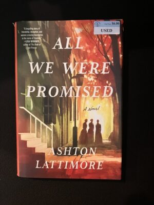 All We Were Promised 