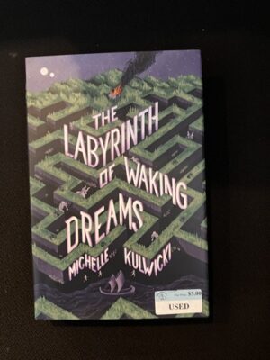 The Labyrinth of Waking Dreams 