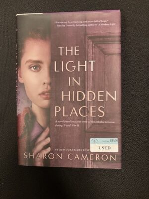 The Light in Hidden Places 